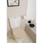 décoration wc - toilettes beige