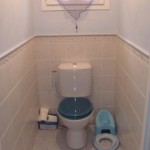 décoration wc - toilettes bleu