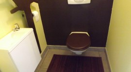 idée déco wc - toilettes nature