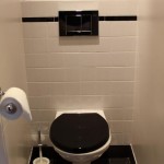 ambiance wc - toilettes marron