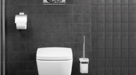 décoration wc - toilettes prune