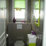 décoration wc - toilettes prune
