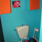 idée déco wc - toilettes bleu