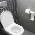 idée déco wc - toilettes design