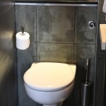 idée déco wc - toilettes gris et blanc