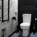 idée déco wc - toilettes gris et blanc