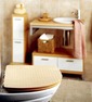 ambiance wc - toilettes kaki