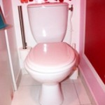 déco wc - toilettes gris et rouge