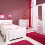 idée déco chambre bébé prune