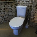 décoration wc - toilettes tendance