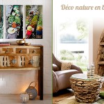 idée déco salon nature