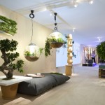 ambiance salon nature