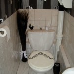 ambiance wc - toilettes blanc