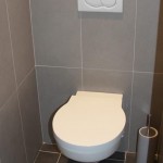 idée déco wc - toilettes taupe