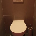 idée déco wc - toilettes taupe