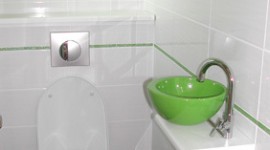 idée déco wc - toilettes vert