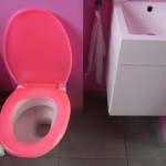 décoration wc - toilettes rose