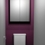 idée déco wc - toilettes prune