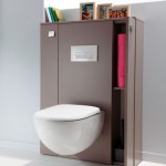 idée déco wc - toilettes prune