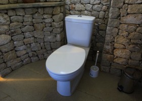 idée déco wc - toilettes design