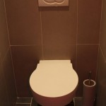 idée déco wc - toilettes beige